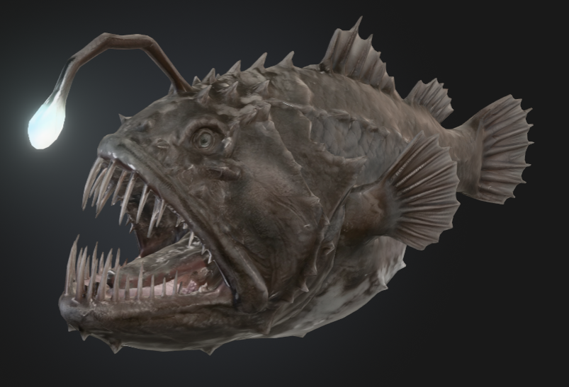 Deep-sea anglerfish